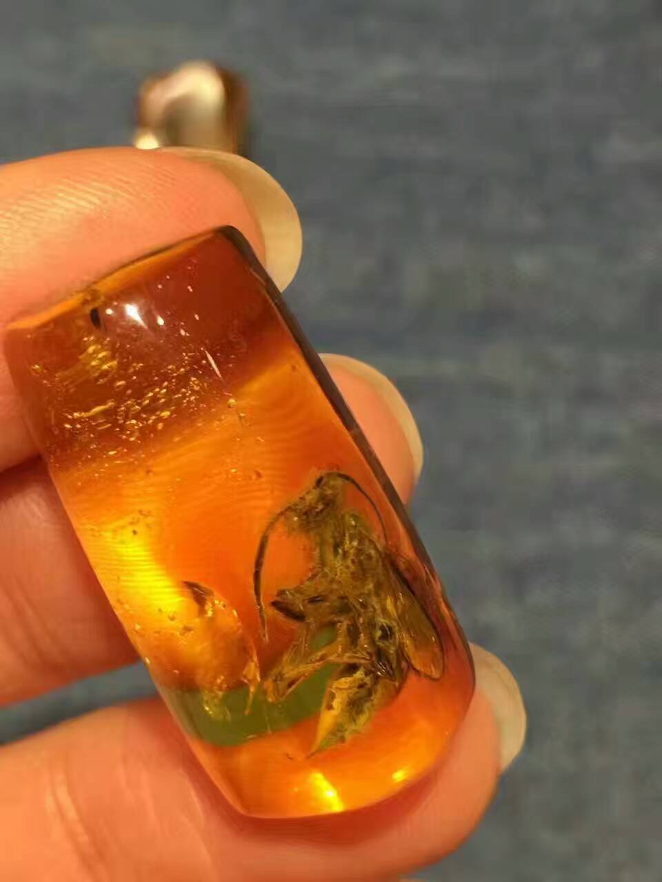 琥珀蜜蜡到底是怎样形成的?不是秘密的秘密